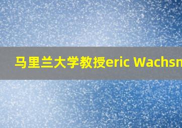 马里兰大学教授eric Wachsman